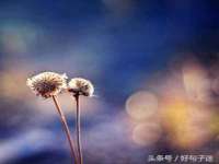 汉寿县富生学梓商贸有限公司