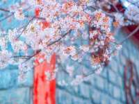 汉寿县富生学梓商贸有限公司
