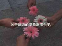 汉寿县富生学梓商贸有限公司