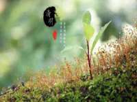汉寿县富生学梓商贸有限公司