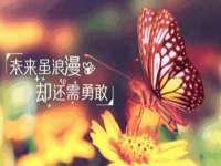 汉寿县富生学梓商贸有限公司