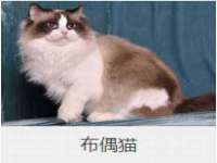 汉寿县富生学梓商贸有限公司