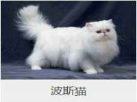 汉寿县富生学梓商贸有限公司