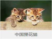 汉寿县富生学梓商贸有限公司