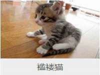 汉寿县富生学梓商贸有限公司