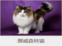汉寿县富生学梓商贸有限公司
