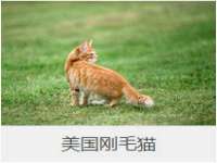 汉寿县富生学梓商贸有限公司