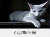 汉寿县富生学梓商贸有限公司