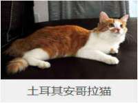 汉寿县富生学梓商贸有限公司