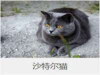 汉寿县富生学梓商贸有限公司