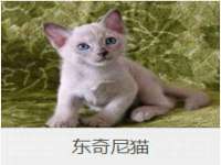 汉寿县富生学梓商贸有限公司