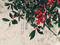 汉寿县富生学梓商贸有限公司