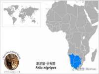 汉寿县富生学梓商贸有限公司