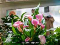 汉寿县富生学梓商贸有限公司