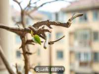 汉寿县富生学梓商贸有限公司