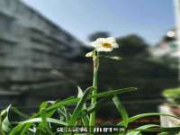 汉寿县富生学梓商贸有限公司