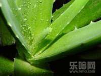汉寿县富生学梓商贸有限公司