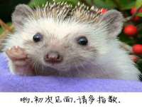 汉寿县富生学梓商贸有限公司