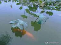 汉寿县富生学梓商贸有限公司