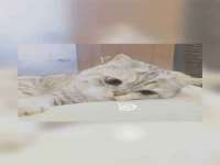 汉寿县富生学梓商贸有限公司