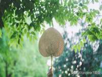 汉寿县富生学梓商贸有限公司