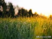 汉寿县富生学梓商贸有限公司