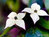 汉寿县富生学梓商贸有限公司