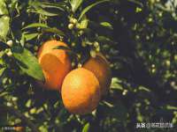 汉寿县富生学梓商贸有限公司