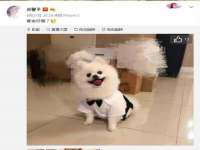 汉寿县富生学梓商贸有限公司