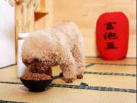 汉寿县富生学梓商贸有限公司