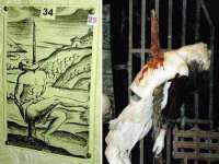 汉寿县富生学梓商贸有限公司