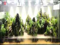 汉寿县富生学梓商贸有限公司