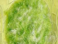汉寿县富生学梓商贸有限公司