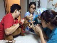 汉寿县富生学梓商贸有限公司