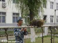 汉寿县富生学梓商贸有限公司