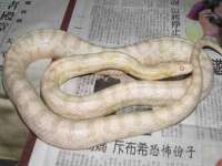 汉寿县富生学梓商贸有限公司