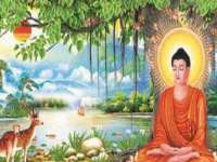 汉寿县富生学梓商贸有限公司