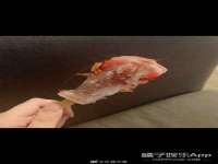 汉寿县富生学梓商贸有限公司